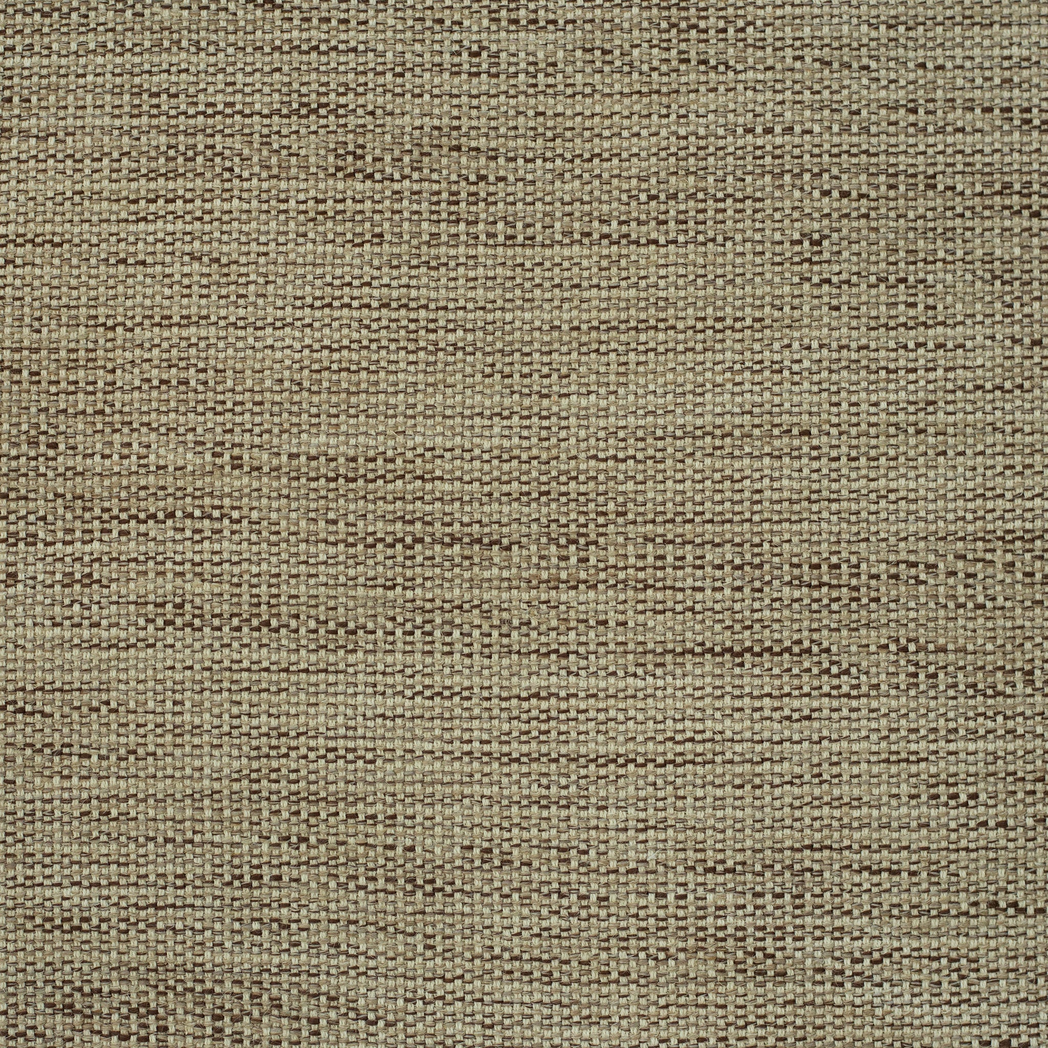 207531