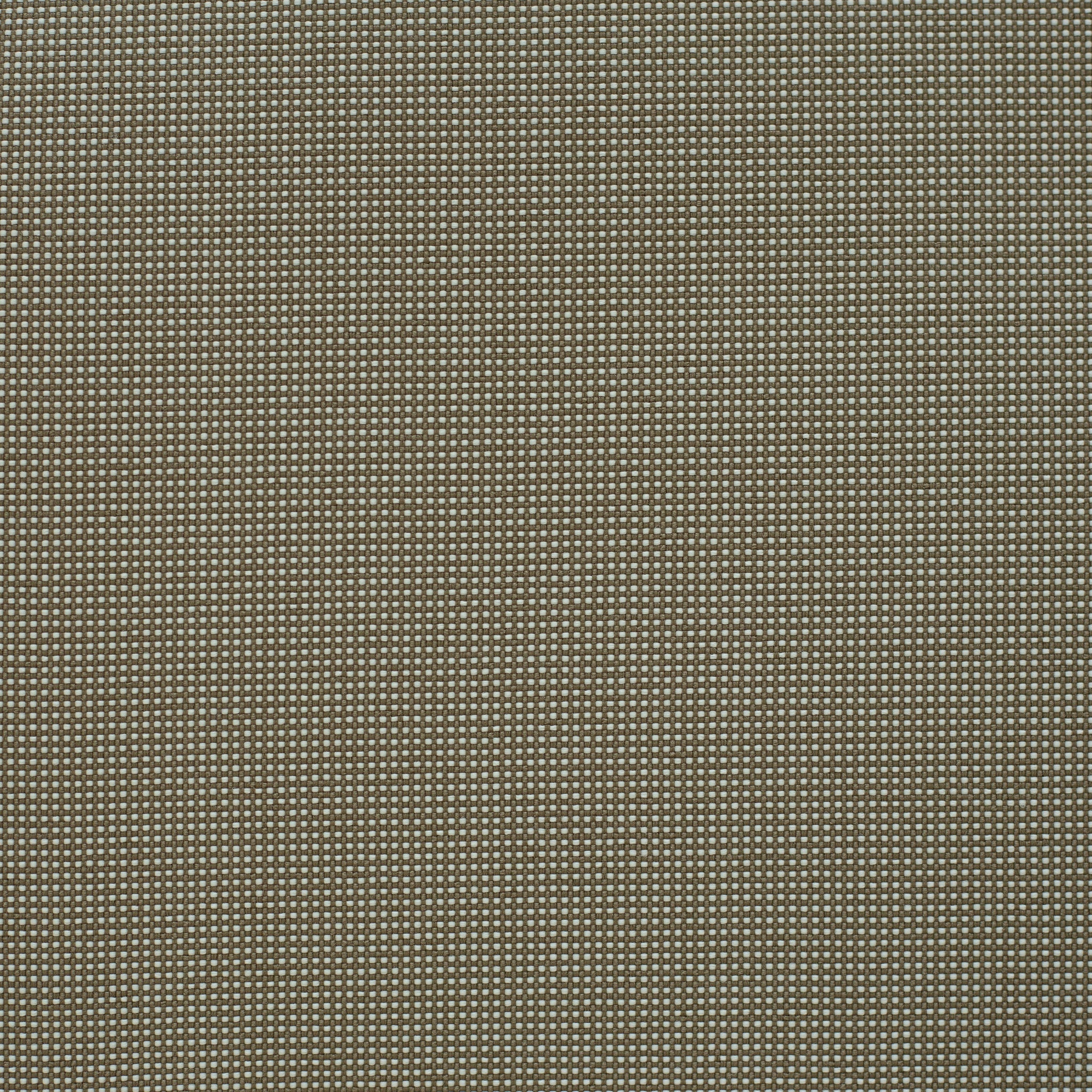 234146
