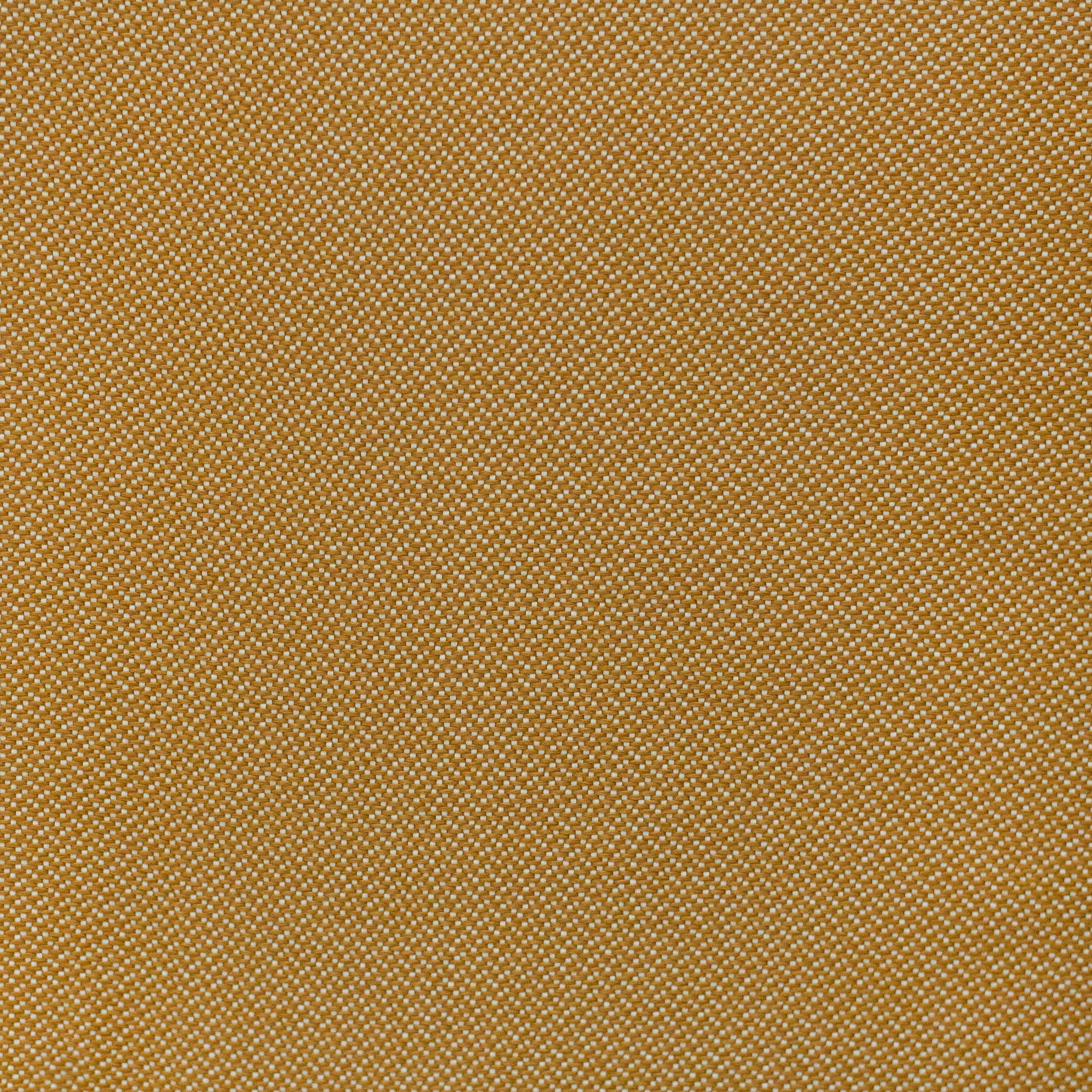 27502