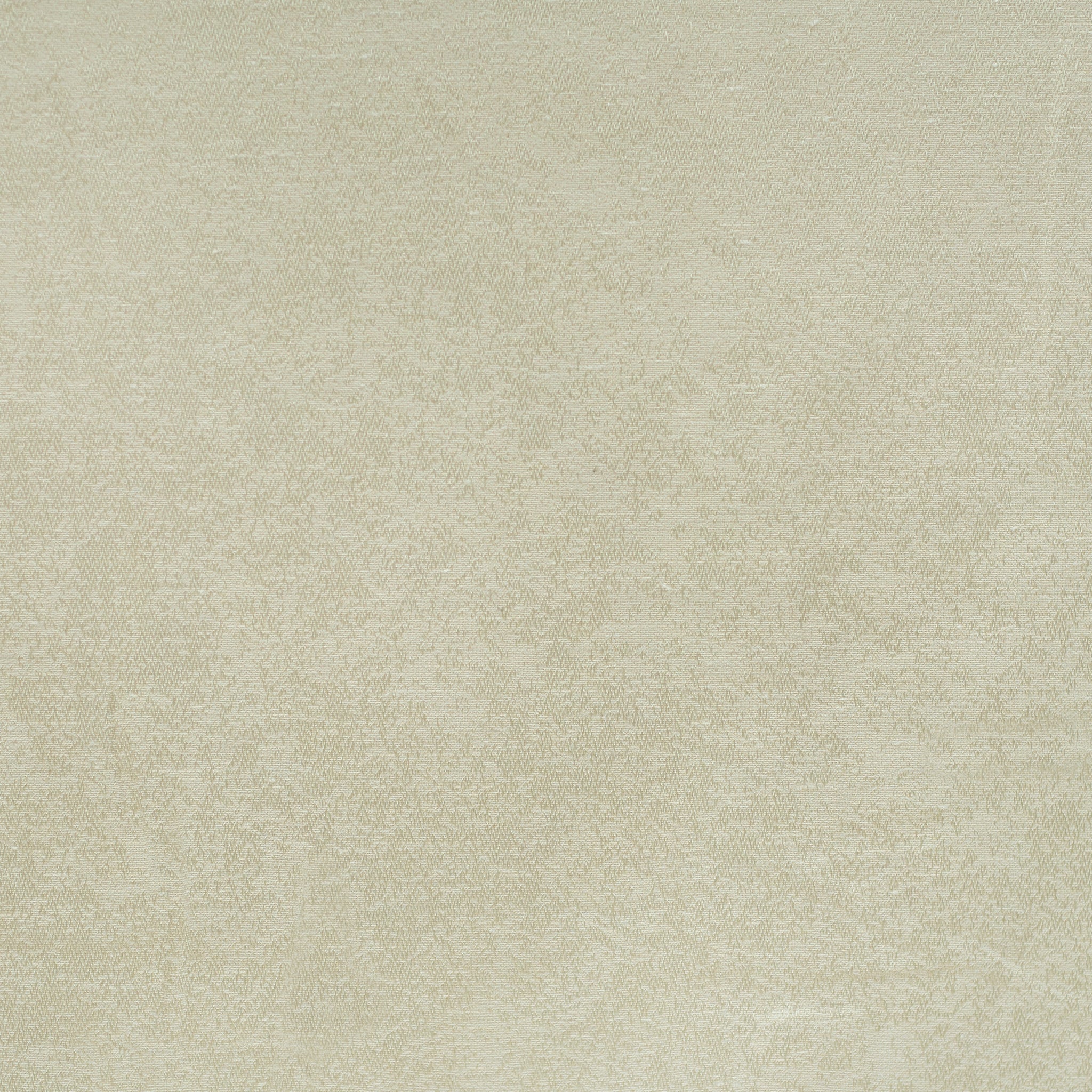 155586