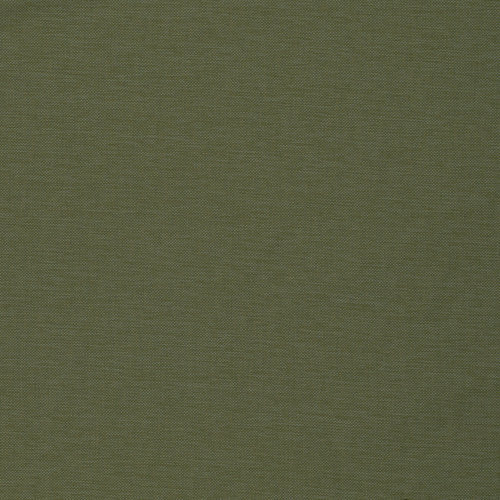 164061