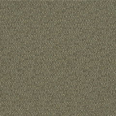 164079