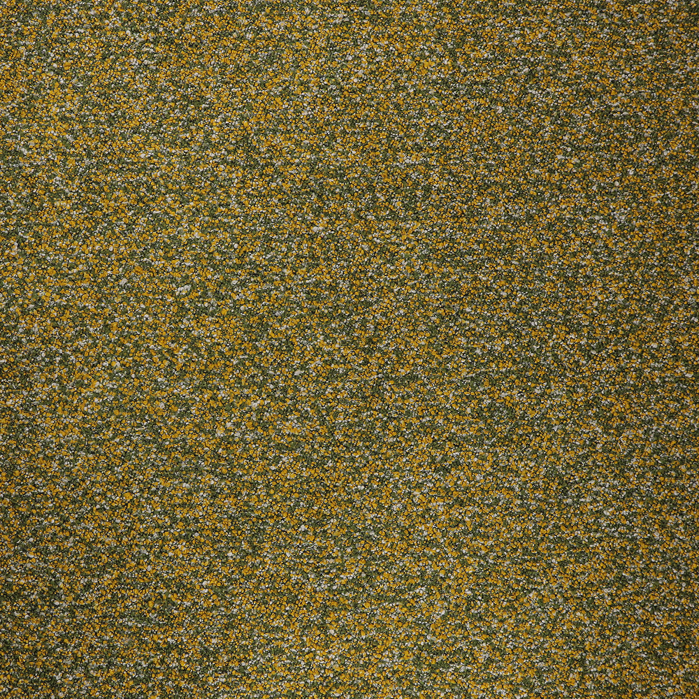 195005