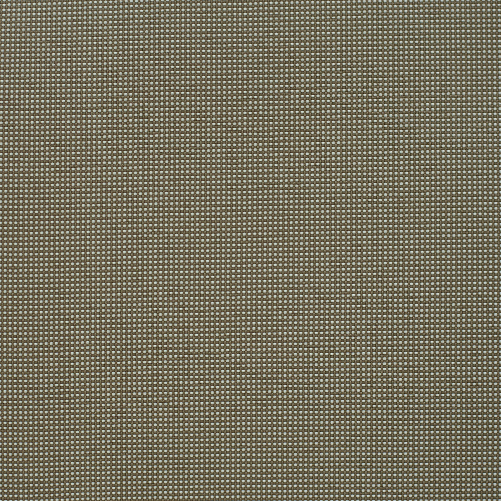 234146