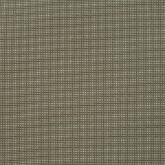 234146