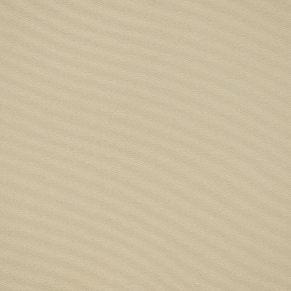 254004