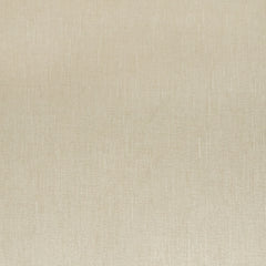 270061