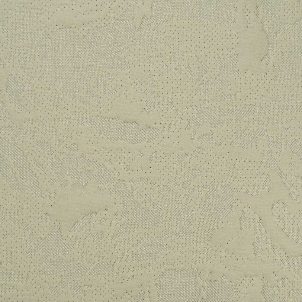 290031