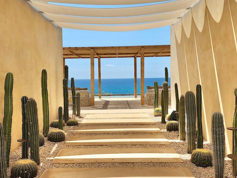 <strong>Kempinski Dead Sea</strong>