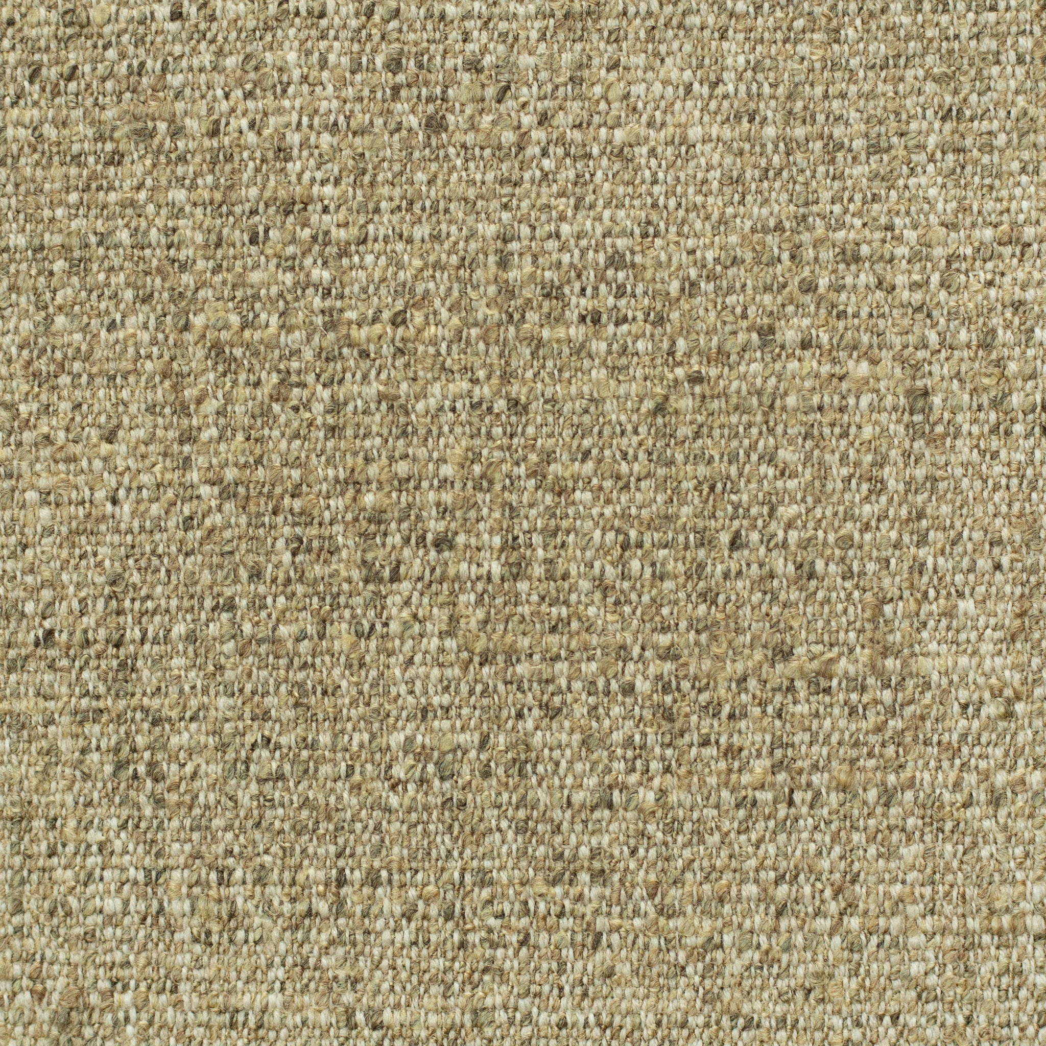 30509