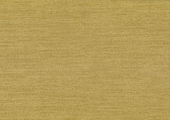 ES25863