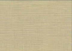ES25876