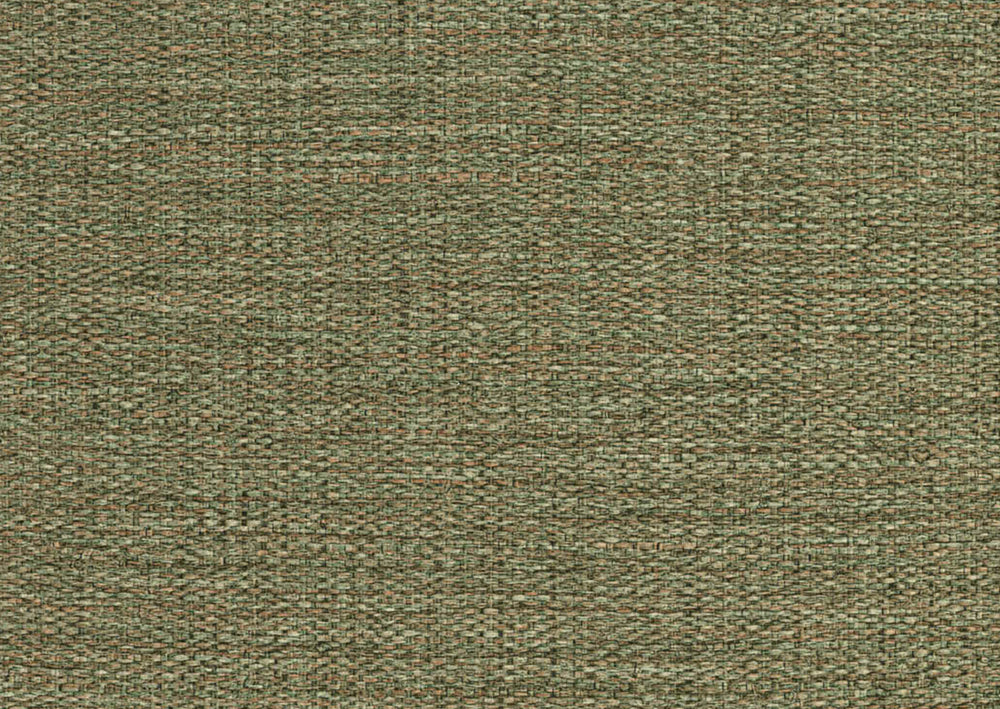 FO50155