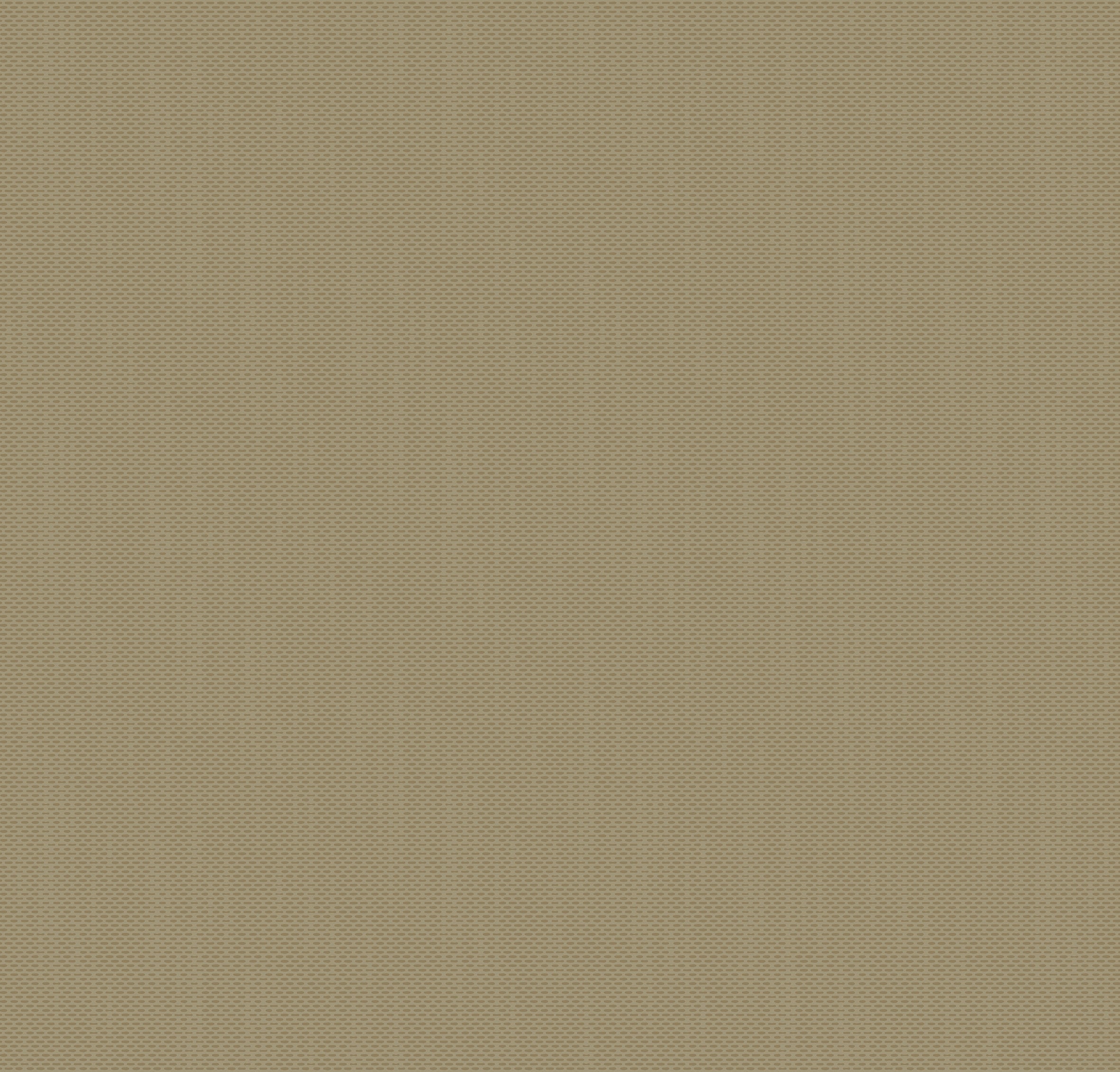 RA11123