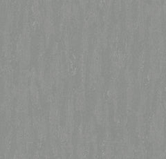RA24004