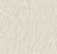 RA89541