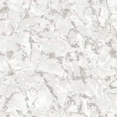 RK31031
