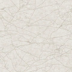 RK31072